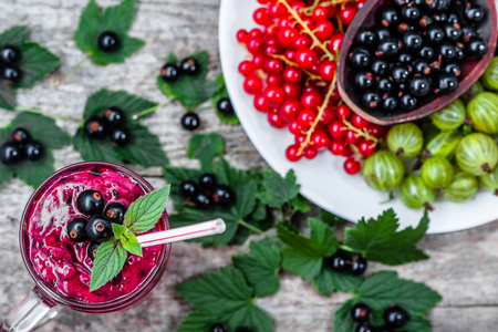 Healthy smoothie from fruits with yogurt. Blended berry of blackcurrant vitamin drink, summer desserts conceptの写真素材