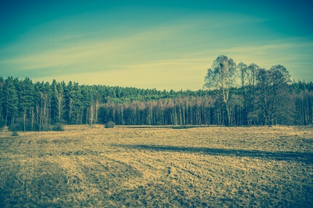Grass field landscape, vintage photoの写真素材