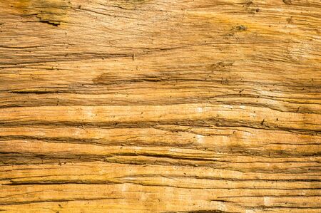 Wooden texture, wood backgroundの写真素材