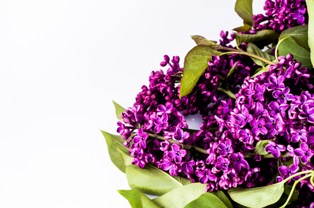 Bouquet of lilac flowers, spring backgroundの写真素材
