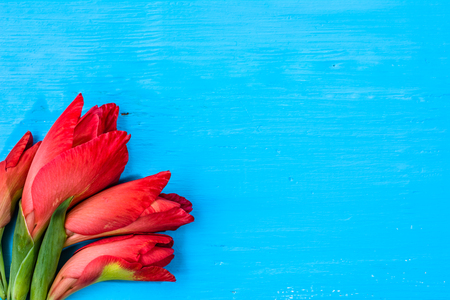Pink flowers, spring background for 8 march - women's day, mother's day cardの写真素材