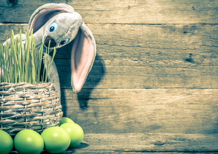 Easter eggs and rabbit in grass, fresh green wheat in the basket, traditional easter symbols in Polandの写真素材