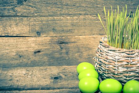 Grass and easter eggs, background with spring symbolsの写真素材