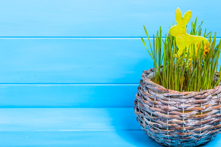 Easter bunny in grass, easter card template with copy spaceの写真素材