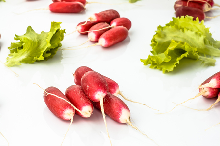 Lettuce and fresh radish isolated on white background, healthy eating conceptの写真素材