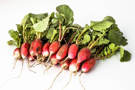 Bunch of radish isolated on white background, fresh vegetables from local marketの写真素材