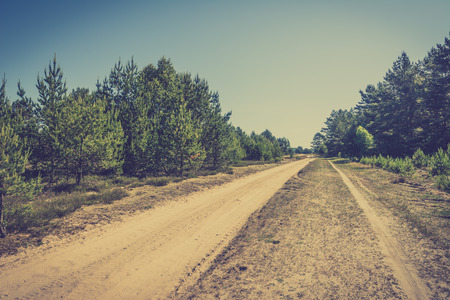 Dirt road and pine trees on the roadside, dry terrain in Poland, summer landscape, vintage photoの写真素材