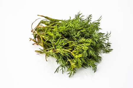Bunch of dill isolated on a white backgroundの写真素材
