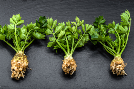 Root of celery and stalks, green vegetables on black background, healthy eating conceptの写真素材