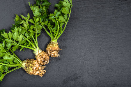 Roots of celery, green vegetables, organic food from local market on black backgroundの写真素材