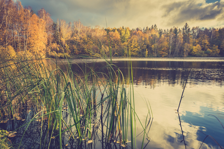 Scenic autumn landscape with lake in the forest and autumn trees, toned imageの写真素材