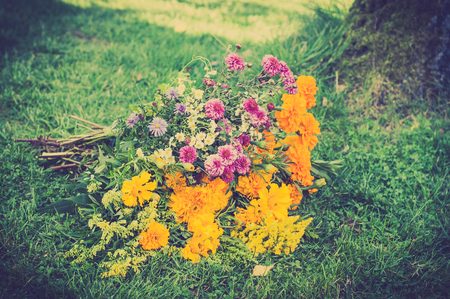 Autumn flowers bouquet. Aster and marigold.の写真素材