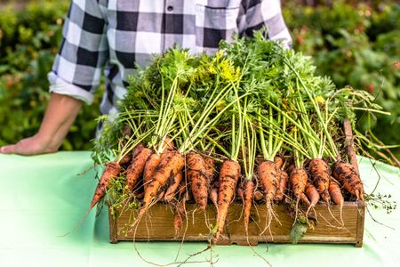 Local Farmer on market with vegetables, organic food and healthy lifestyle conceptの写真素材