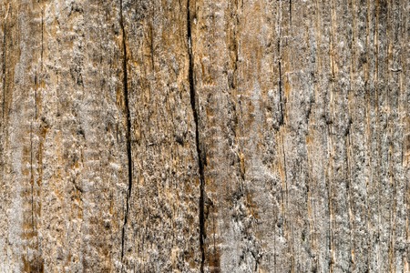 Wooden texture, rustic background of wood structure with copy spaceの写真素材