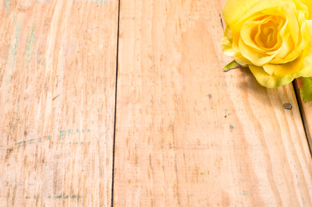 Yellow rose for valentine's day or card for women's day, flowers backgroundの写真素材