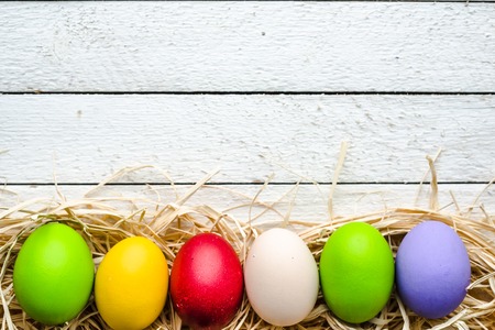 Easter background, seasonal colorful painted easter eggs on wooden white boardsの写真素材