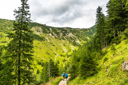 ZAKOPANE, POLAND - AUGUST 16, 2016: Mountain hikers or group of people on trail in mountains, green landscapeのeditorial素材