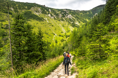 ZAKOPANE, POLAND - AUGUST 16, 2016: Mountain hikers or group of people on hiking trail in mountains, green landscapeのeditorial素材