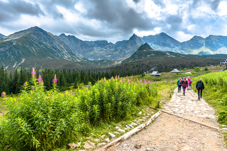 ZAKOPANE, POLAND - AUGUST 16, 2016: People on mountain hiking trail in Tatra Mountains, summer landscapeのeditorial素材