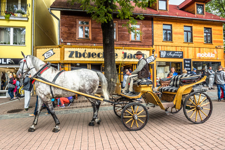 ZAKOPANE, POLAND - AUGUST 17, 2016: Touristic season in Zakopane, city center. Coachman with harnessed horse on the Krupowki street waiting for touristのeditorial素材