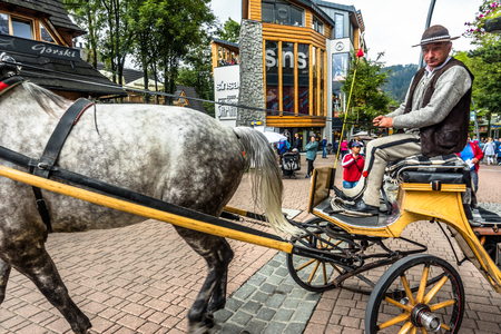 ZAKOPANE, POLAND - AUGUST 17, 2016: Touristic season in Zakopane, city center. Coachman with harnessed horse on the Krupowki street waiting for touristのeditorial素材