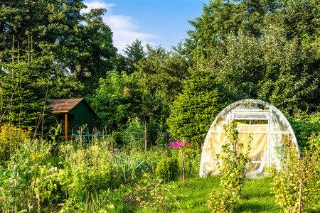 Cottage and greenhouse in the garden with vegetables farming in the summerの写真素材