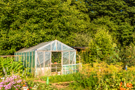 Eco vegetable garden with greenhouse, organic farming conceptの写真素材