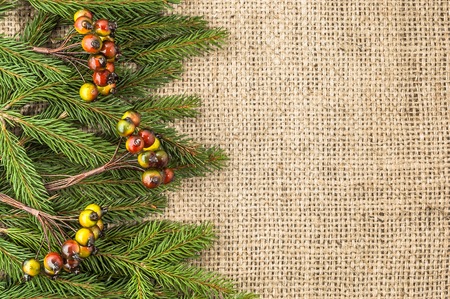 Green fir frame, christmas background, copy space
