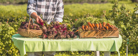 Farmer with harvested vegetables, organic food and healthy lifestyle conceptの写真素材