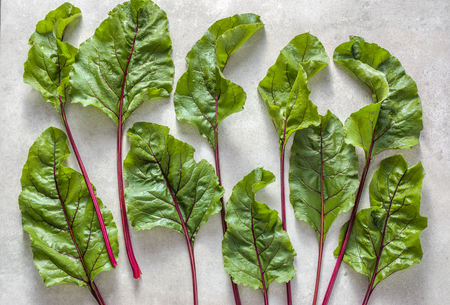 Green beet leafs, fresh farm vegetables background, freshly harvested beets leaves, patternの写真素材