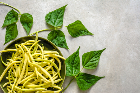 Freshly harvested yellow beans, fresh farm vegetables on plate prepared for cooking