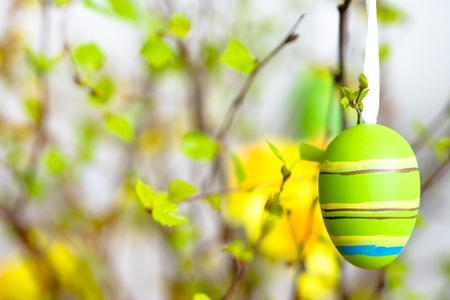 Background with easter egg, decoration painted in green and yellowの写真素材