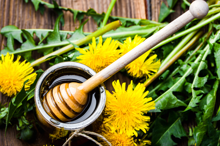 Dandelion wild flower honey and wooden dipper in honey, top viewの写真素材