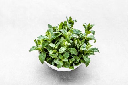 Green organic peppermint. Fresh mint leaves on white background.の写真素材