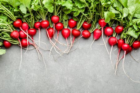 Fresh red radish on white background. Freshly harvested garden radishes. Organic vegetable harvest.の写真素材
