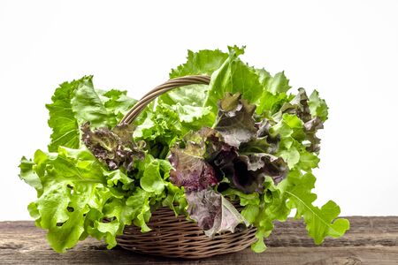 Farm fresh vegetables. Organic, fresh lettuce on white background.の写真素材