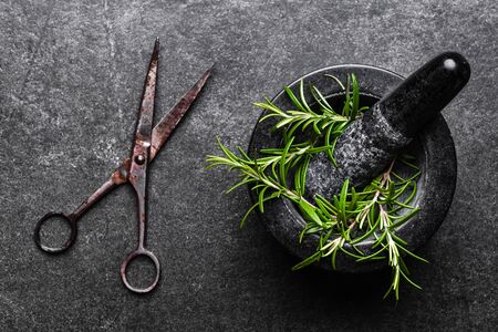 Black mortar with freshly harvested rosemary herbs on dark backgroundの写真素材