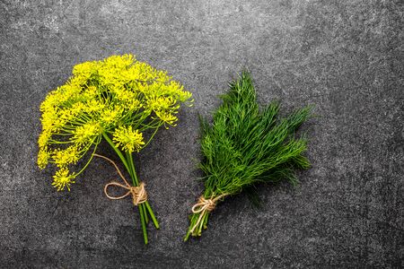 Culinary herbs. Green fresh dill bunch and flower of dill harvested freshly from the garden.の写真素材