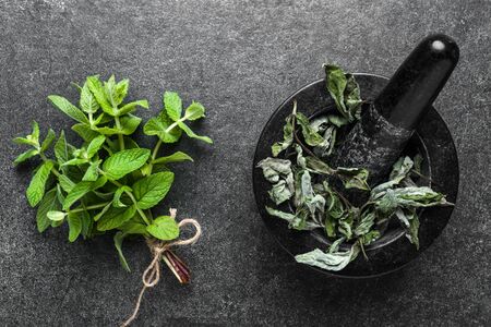 Green herbs. Fresh mint leaves or peppermint and dry mint in mortar, top viewの写真素材