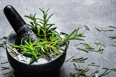 Black mortar with herb of rosemary, fresh green garden herbsの写真素材