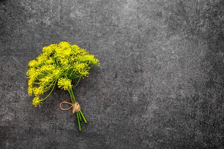 Fresh herb of dill flower on black backgroundの写真素材