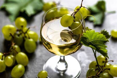 Glass of wine and white grapes freshly harvested in wineryの写真素材