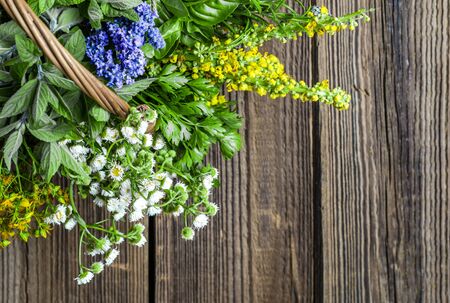 Variety of herbs, fresh garden herb on wooden tableの写真素材
