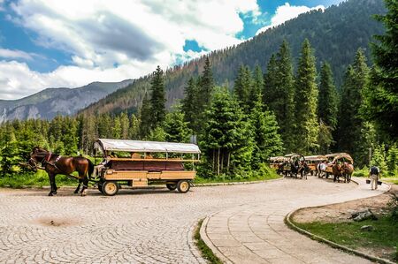 TATRA, POLAND - July 4, 2015: National Park in the Tatra Mountains, Dolina Rybiego Potoku, Wlosienica near Zakopane, horse carts ride, transport to Morskie Oko alpine lake attraction for lazy tourist.のeditorial素材