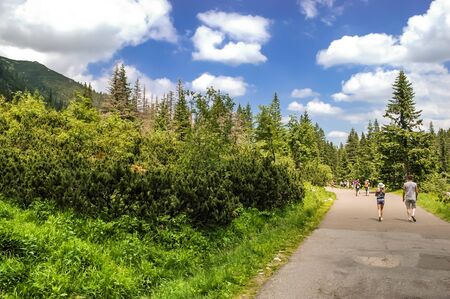 TATRA, POLAND - July 4, 2015: Polish Tatra Mountains, near Zakopane,  Group of tourists walking on road to Morskie Oko lake, Czarny Staw and Rysy in High Tatra Mountains, Polandのeditorial素材