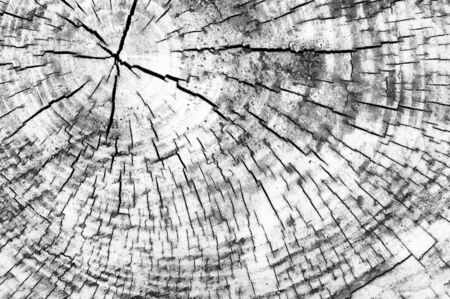 Background or wooden texture from black and white wood patternの写真素材