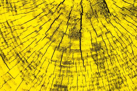 Background or wooden texture from yellow woodの写真素材