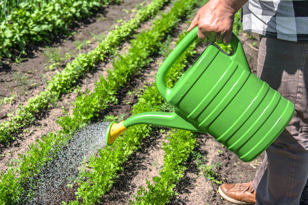 Farmer water plants in the garden with a watering can. Bio organic farming concept.の写真素材