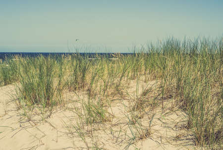 Landscape with sea view, sand dune and grass, summer blue sky, Leba, Baltic Sea, Poland, nature backgrounds.の写真素材