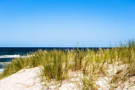 Landscape with sea view, sand dune and grass, summer blue sky, Leba, Baltic Sea, Poland, nature backgrounds.の写真素材